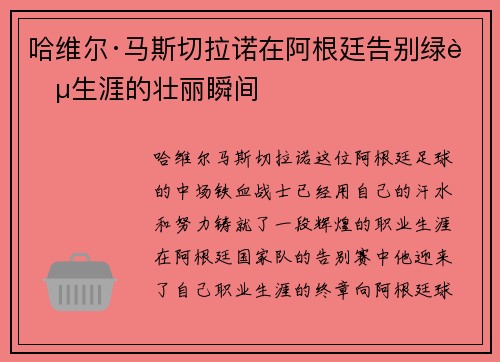 哈维尔·马斯切拉诺在阿根廷告别绿茵生涯的壮丽瞬间 哈维尔·马斯切拉诺在阿根廷告别绿茵生涯的壮丽瞬间